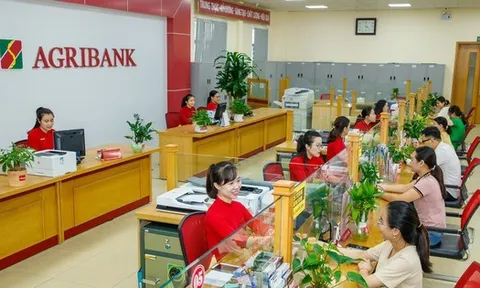 Lãi suất ngân hàng Agribank đầu tháng 5/2025: Gửi kỳ hạn nào có lãi suất cao nhất?