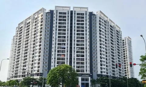 Hà Nội: Mở bán hơn 300 căn nhà ở xã hội tại quận Long Biên với giá 16 triệu đồng/m2