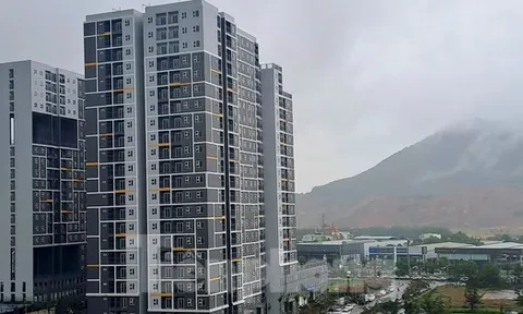 Bình Định quy định điều kiện mua nhà ở xã hội đối với người ngoại tỉnh