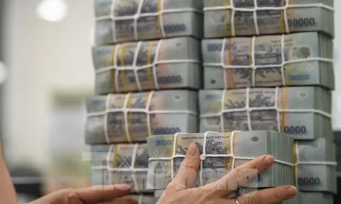 Ngân hàng Nhà nước nêu loạt khó khăn khi xử lý sở hữu chéo
