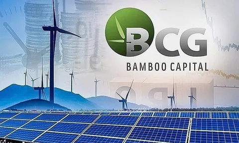 ‘Lao đao’ sau khi ông Hồ Nam bị khởi tố, Bamboo Capital hẹn tháng 10 công bố BCTC quý 1/2025
