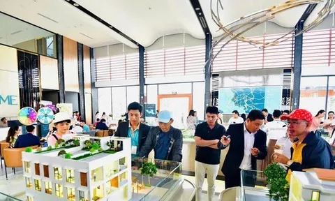 Sáp nhập TPHCM với Bình Dương và Bà Rịa - Vũng Tàu: Có nên xuống tiền mua đất?