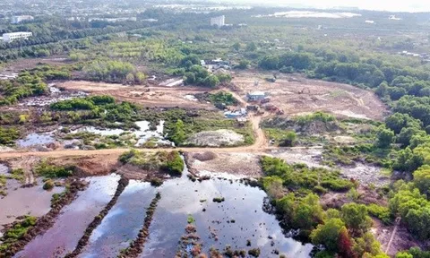 "Ông lớn" đứng sau khu đất 60 ha vừa trúng đấu giá tại Bà Rịa - Vũng Tàu là ai?