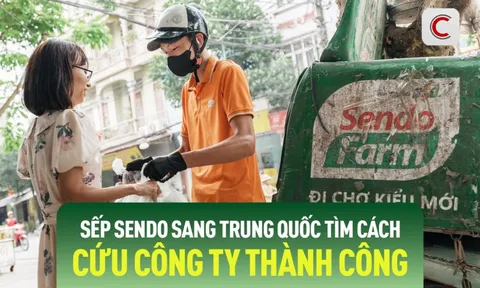 Làm điều chưa ai từng làm: Chuyện Sendo hồi sinh ngoạn mục nhờ từ bỏ TMĐT, thâm nhập thị trường ngách gần 3 tỷ USD, hút 1 triệu khách hàng