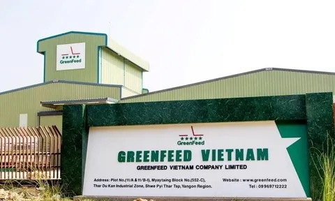 "Đại gia" chăn nuôi Long An đột ngột báo lãi kỷ lục 2.100 tỷ đồng, vượt mặt Dabaco, nông nghiệp Hoà Phát, BAF