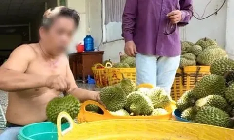 Nỗi oan sầu riêng 'nhúng thuốc'