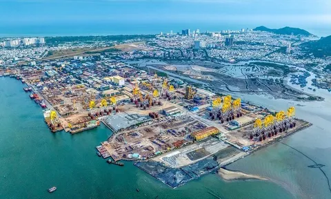Petrovietnam tiên phong thúc đẩy hợp tác, nâng cao năng lực cạnh tranh quốc gia