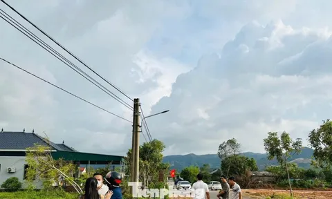Nguy cơ phá vỡ hạ tầng trong 'cơn sốt ảo' đất nền ở vùng quê Hà Tĩnh