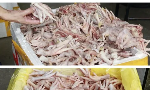 Phát hiện kho đông lạnh chứa hàng nghìn chân gà, xúc xích lậu