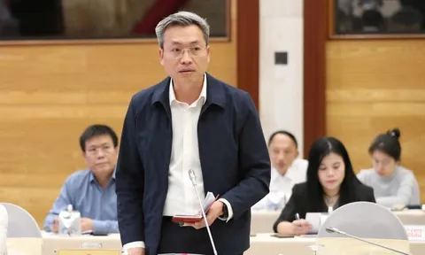 Vụ án Hoàng Hường: Đã kê biên 2 tài sản hơn 320 tỷ đồng để khắc phục hậu quả