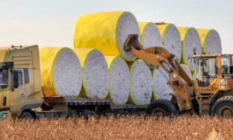 Mỹ chi hơn 16 tỷ USD mua 'mỏ vàng' thứ 3 thế giới của Việt Nam: Nước ta đã xuất sang 2/3 thế giới, 3 ông trùm thống trị toàn cầu đều đến từ châu Á