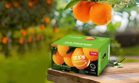 Cam 17.5° Nongfu Spring nổi tiếng tại Trung Quốc sắp về Việt Nam