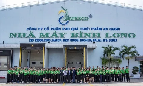 Antesco bất ngờ lấy ý kiến cổ đông