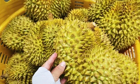 Quy định mới về xuất khẩu nông sản vào Trung Quốc