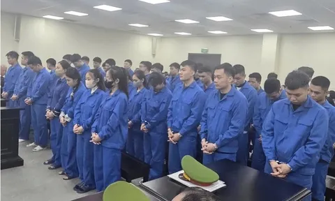 Cô gái trẻ cầm đầu nhóm lừa đảo chiếm đoạt hơn 40 tỷ đồng