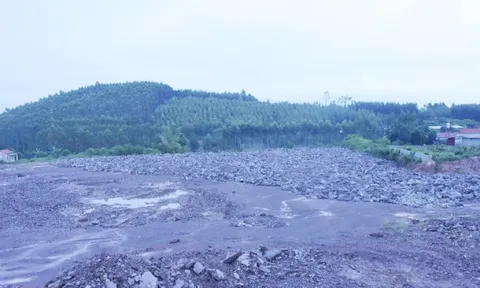 Khởi tố cựu cán bộ ‘ngó lơ’ vụ khai thác hơn 200.000m3 đất