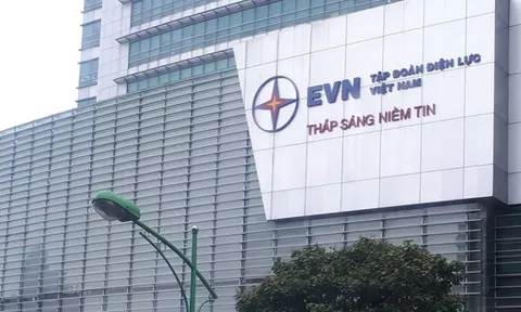 Cổ phần hoá, cơ cấu lại vốn nhà nước của loạt "ông lớn" EVN, Petrolimex, Viettel, Agribank...