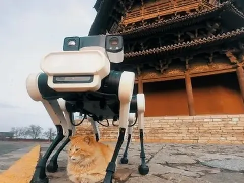 Robot chó 6 chân bảo tồn chùa gỗ cổ nhất, cao nhất thế giới