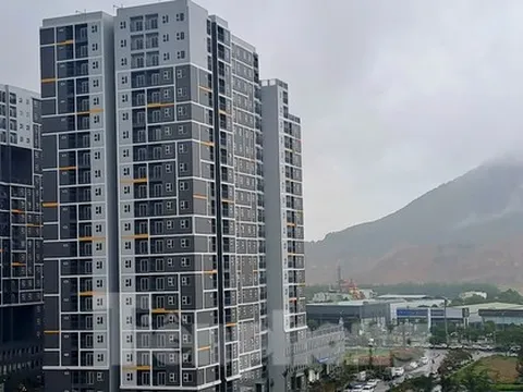 Bình Định quy định điều kiện mua nhà ở xã hội đối với người ngoại tỉnh