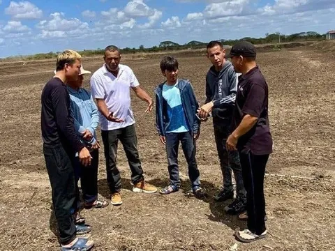 Chỉ sau hơn 120 ngày, loài vật tỷ USD của Việt Nam trở thành hiện tượng mới ở Cuba