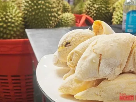 Giá sầu riêng tiếp tục giảm sâu, có loại chỉ còn 25.000 đồng/kg