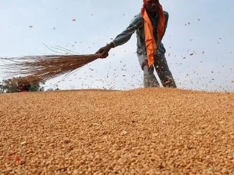 Vừa ngừng nhập khẩu từ Mỹ, một ngành hàng của Trung Quốc gặp sóng gió: ‘Cứu tinh’ chậm trễ giao hàng, nhập khẩu giảm xuống thấp nhất trong một thập kỷ