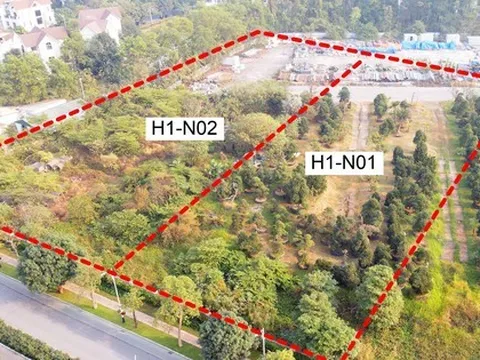 Hà Nội: Giao hơn 10.000m2 đất để thực hiện dự án nhà ở biệt thự