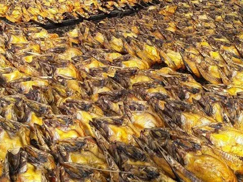 Loại cá 'rẻ bèo' bán đầy chợ Việt bất ngờ được nước giàu nhất Nam Mỹ tăng nhập khẩu: Protein không kém cá hồi