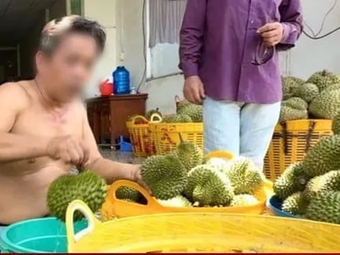 Nỗi oan sầu riêng 'nhúng thuốc'