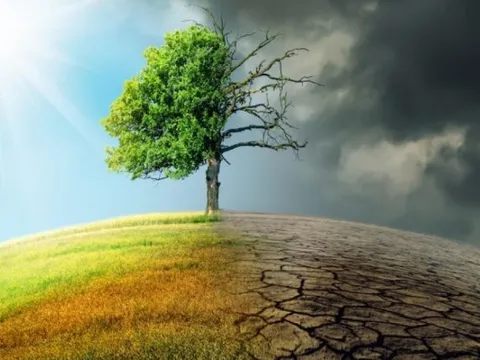 Loạt định chế tài chính rút khỏi cam kết Net Zero: Doanh nghiệp Việt nhìn gì từ động thái của thế giới?