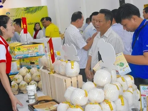 Khan hàng loại quả xuất khẩu tỉ USD, giá tăng mạnh