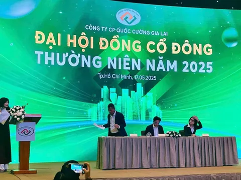 Quốc Cường Gia Lai muốn đổi tên, đặt mục tiêu lợi nhuận 300 tỷ, gấp 4 lần năm 2024