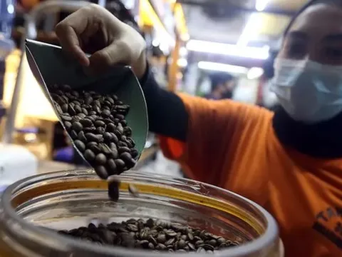 Quốc gia đông dân thứ 4 thế giới nuôi tham vọng vượt mặt Việt Nam ở một 'mỏ vàng' tỷ USD, sản lượng 700.000 tấn mỗi năm có đủ sức?