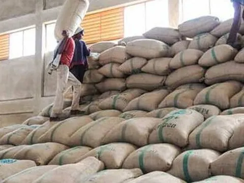 Hàng chục nghìn tấn hàng của Việt Nam được Nga đổ tiền mua với giá cực đắt: thuế nhập khẩu 0%, sản lượng hơn 1 triệu tấn/năm