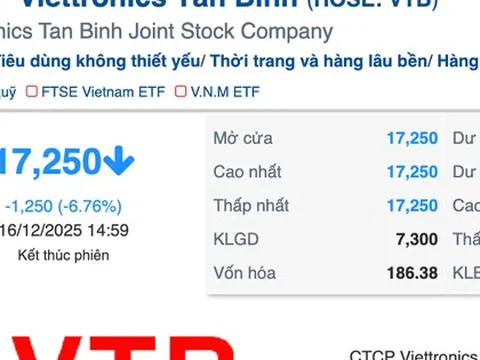 Vì sao Viettronics Tân Bình giảm sàn 5 phiên sau khi đại gia Vũ Văn Tiền thâu tóm?