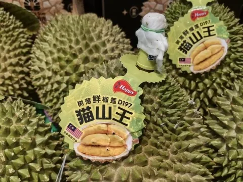 Sầu riêng tại một quốc gia Đông Nam Á bất ngờ gặp khó: Nguồn cung dư thừa khiến giá giảm mạnh, vừa tăng nhập khẩu từ Việt Nam gấp 5 lần