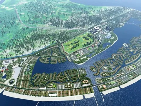 CEO VinEnergo: “Sự an toàn của hệ sinh thái biển Cần Giờ là ưu tiên tối thượng”