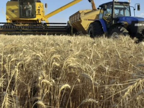 Hơn 700 nghìn tấn hàng từ Ukraine đổ bộ Việt Nam trong năm 2025, là mặt hàng nước ta gần như không trồng được