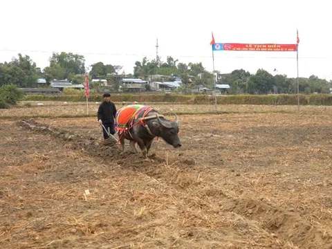 Lễ hội Lồng Tồng ATK Định Hóa – Gìn giữ mạch nguồn văn hóa giữa “Thủ đô gió ngàn”