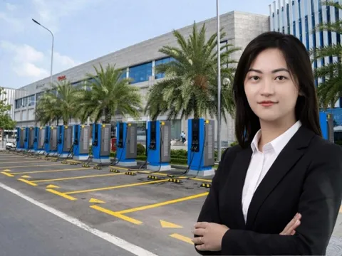 V-GREEN bổ nhiệm Chủ tịch Hội đồng Quản trị mới