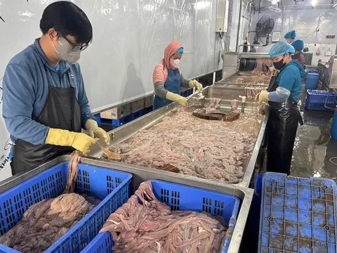 Hà Nội: Phát hiện 60 tấn lòng lợn không rõ nguồn gốc, bốc mùi, đổi màu