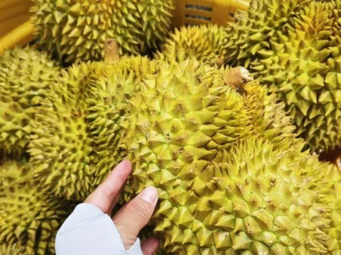 Quy định mới về xuất khẩu nông sản vào Trung Quốc