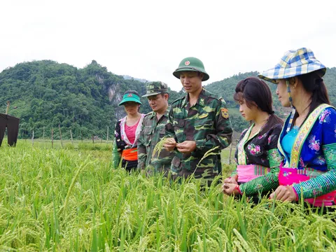 CHỐNG QUAN ĐIỂM XUYÊN TẠC NỀN TẢNG TƯ TƯỞNG VỀ KẾT HỢP KINH TẾ VỚI QUỐC PHÒNG VÀ VAI TRÒ CỦA QUÂN ĐỘI ĐỐI VỚI NỀN KINH TẾ