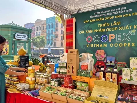 CEO Nguyễn Thành Nam kể về Hành trình 15 tiếng thuyết phục Bộ Công thương đưa start-up trẻ TND Group hỗ trợ triển lãm OCOPEX